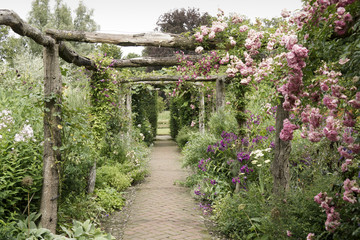 Poster 3D Rosa Rosen an Holzpergola  © mayabuns