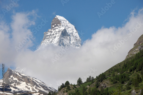 Matterhorn through fir trees near Zermatt , Swiss Alps