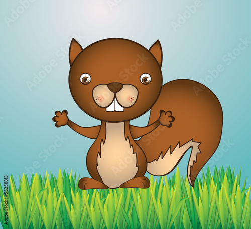 squirrel design