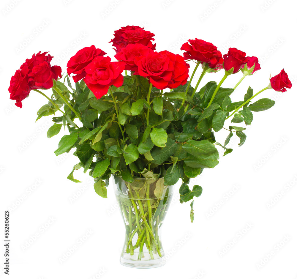 Obraz premium bouquet of scarlet roses in vase