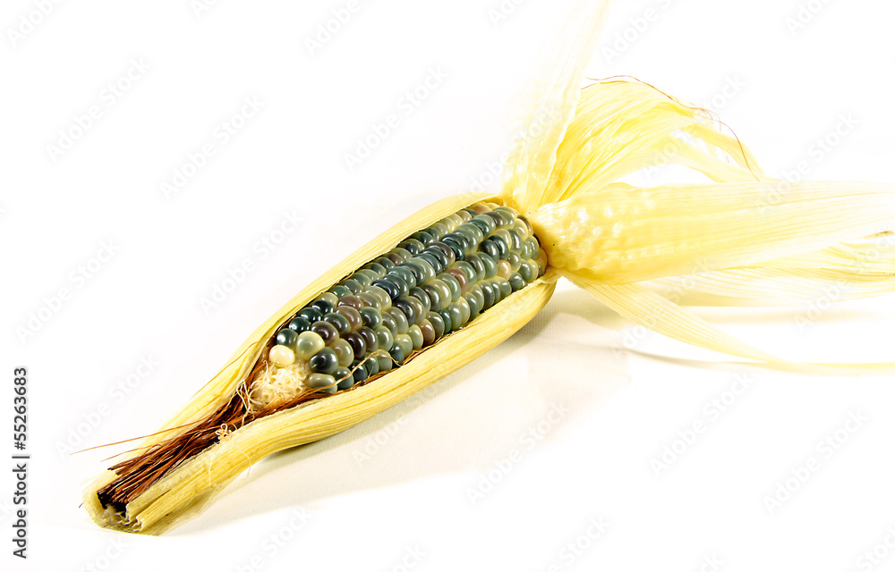 Fototapeta premium Fresh raw corn cob isolated on the white