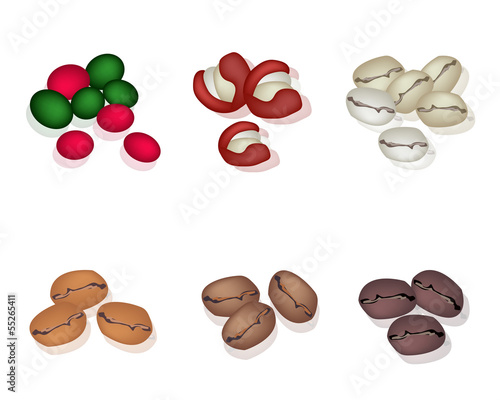 Various Kind of Coffee Beans on White Background