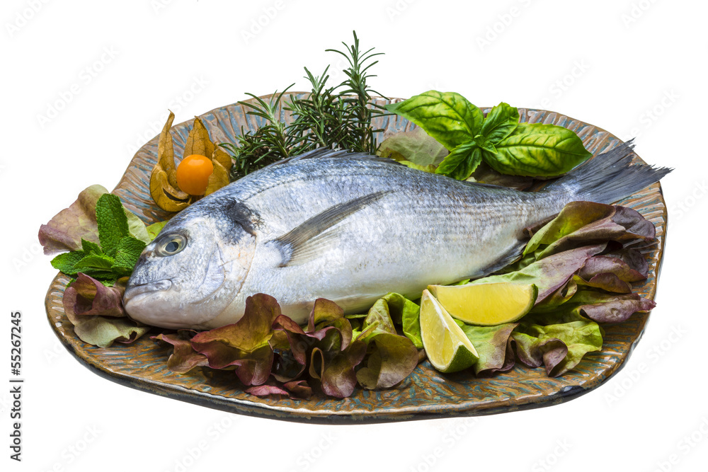 Fresh raw dorada