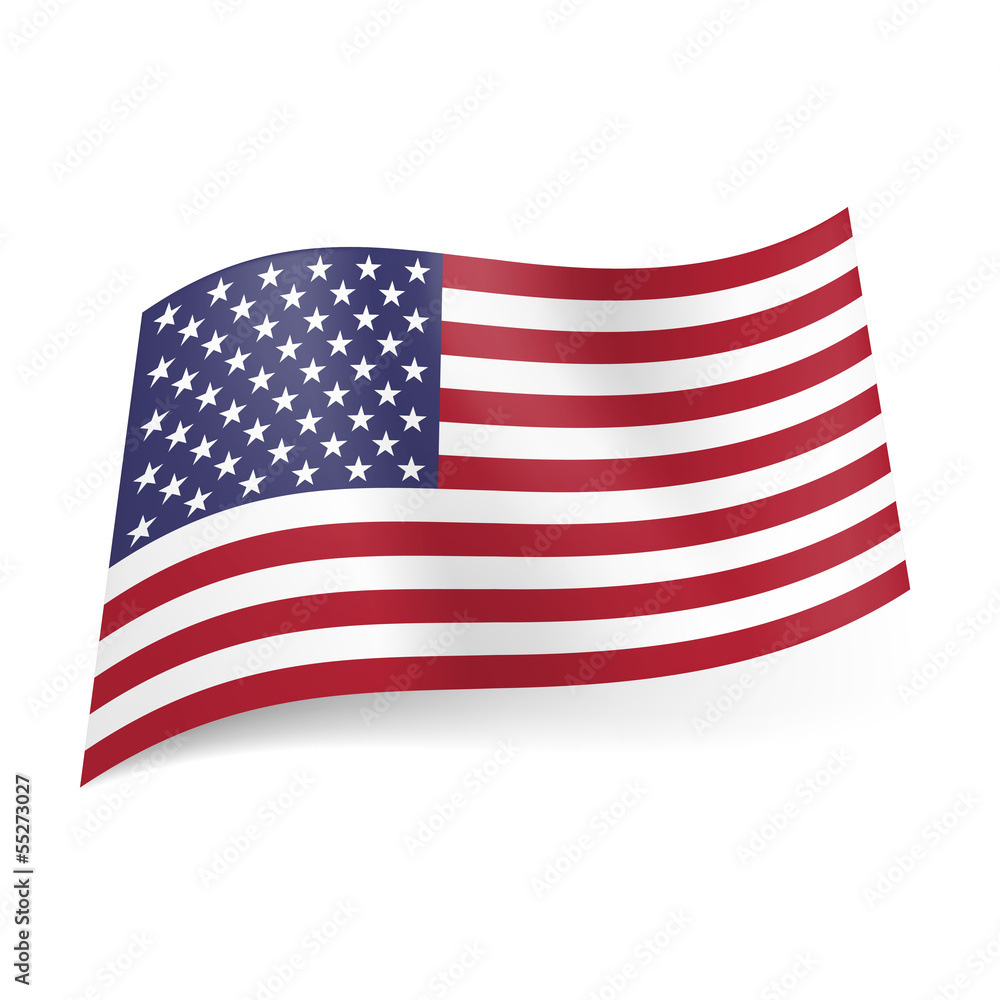 Fototapeta premium State flag of the USA
