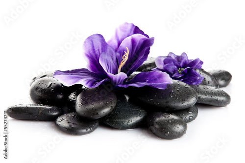 Spa stones and purple flower  isolated on white. flower in stone