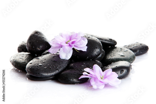 Spa stones and purple flower, isolated on white. flower in stone