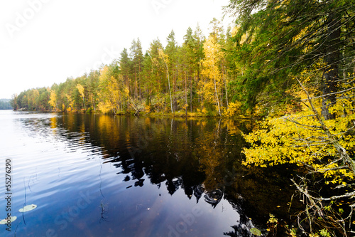 Fototapeta Naklejka Na Ścianę i Meble -  Autumn forest and a calm lake