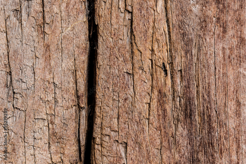 Obraz premium Brown decay wood