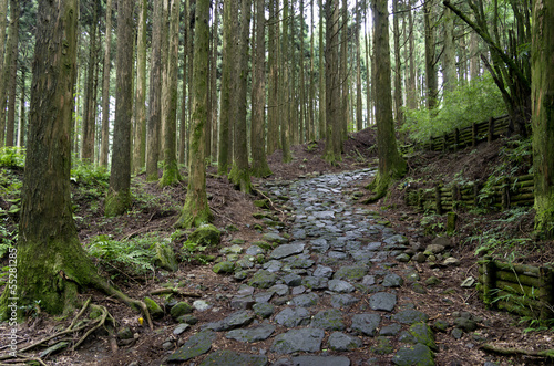 箱根の旧街道石畳