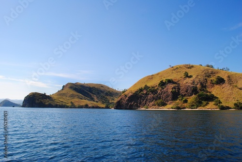 Obraz na płótnie Komodo Island w salonie