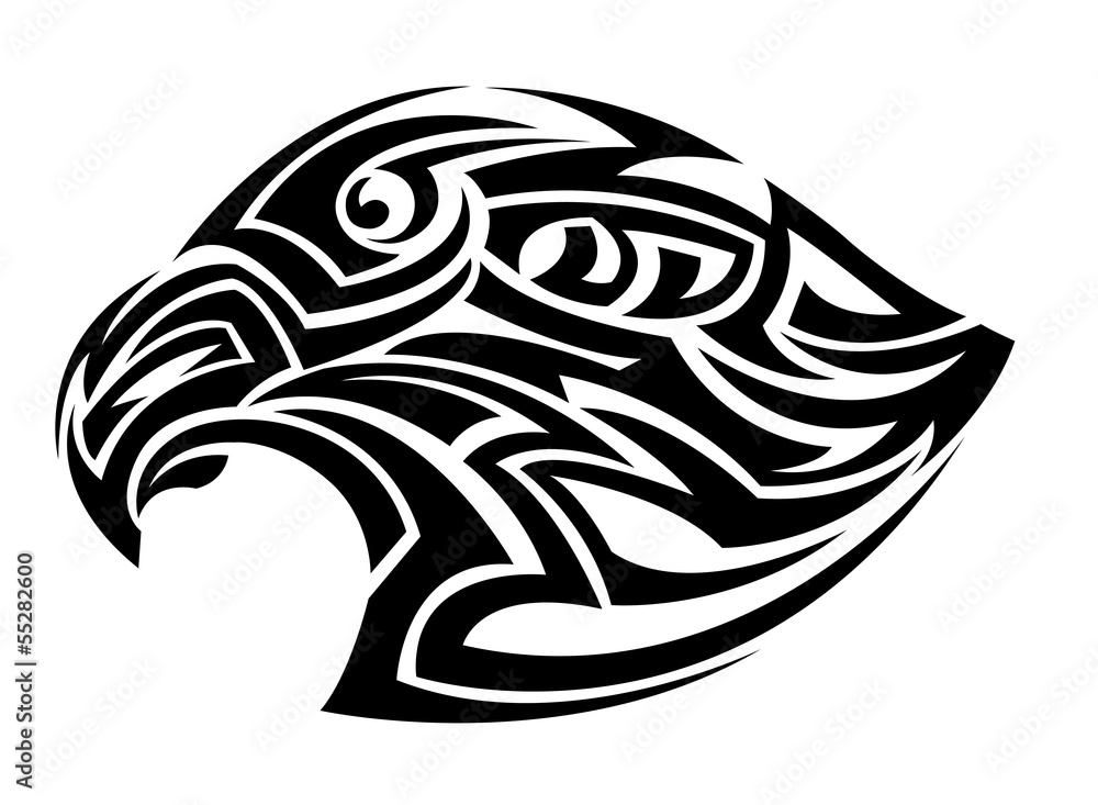 Eagle head on a white background Eagle head on a white background