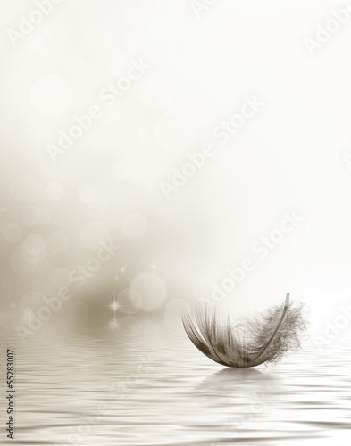 Fotografiet Drifting feather condolence or sympathy card in black and white