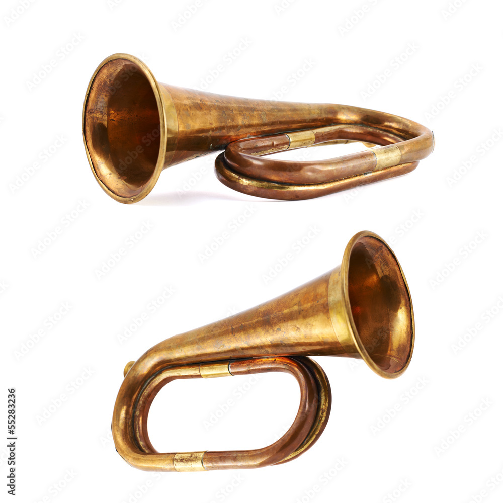 Obraz premium Trumpet musical instrument isolated