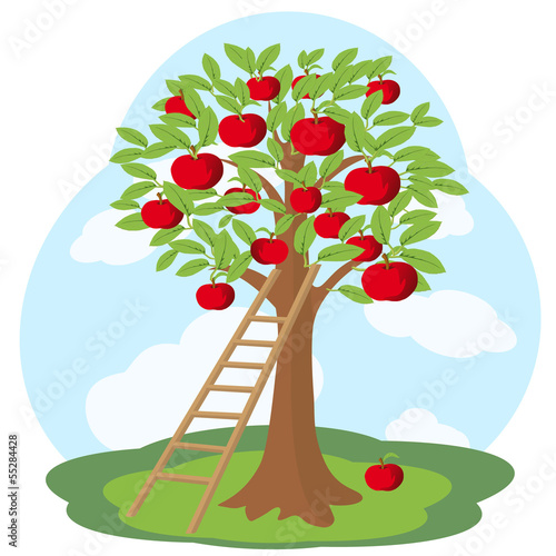 Apple tree and wooden staircase