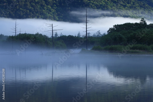 朝霧の上高地大正池