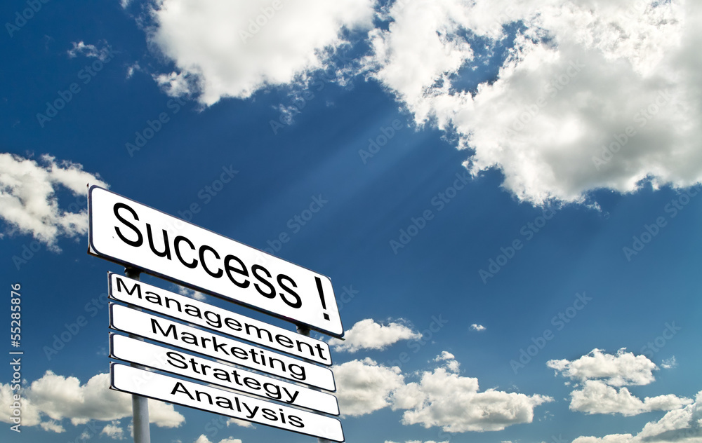 Obraz premium Concept of successful business strategy