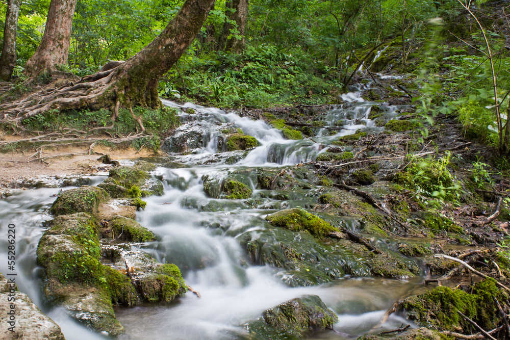 Wonderful view in Plitivice National Park. Croatia.