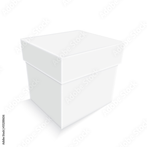 empty white paper box isolated