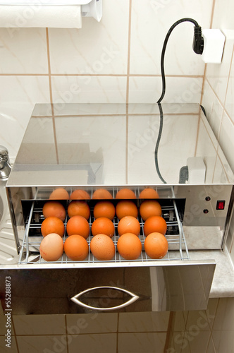 Disinfection of eggs