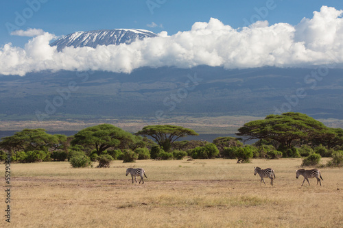 Kilimanjaro Amboseli