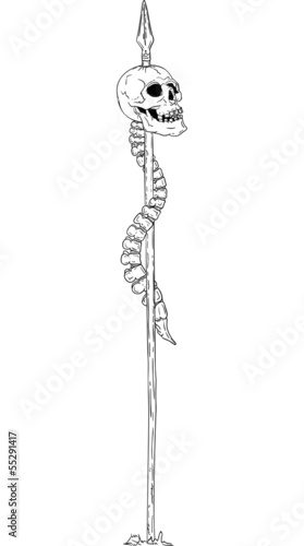 skull impaled on spears