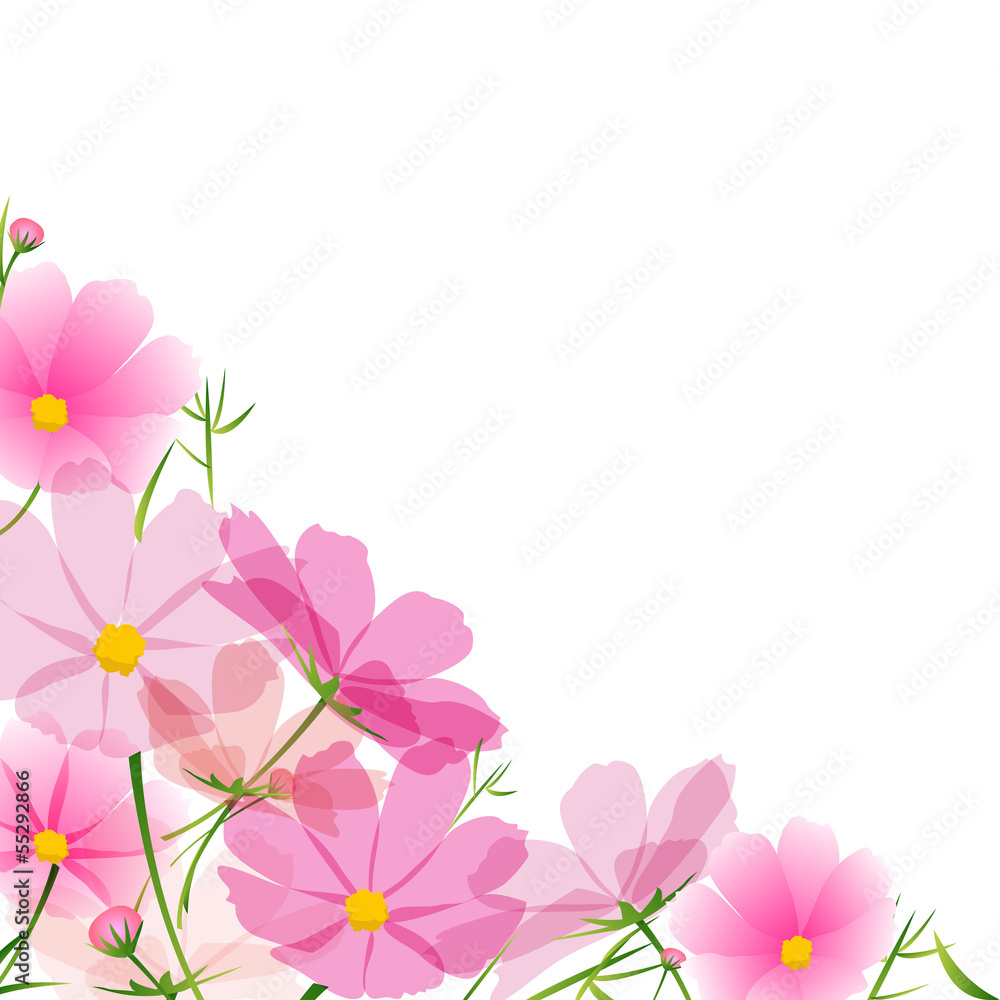 秋桜 花 ピンク 秋 季節 コスモス フレーム Stock Vector Adobe Stock