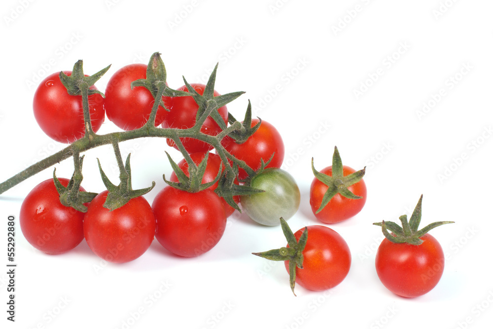 small branch of ripe cherry tomatoes isolated on a white small branch of ripe cherry tomatoes isolated on a white