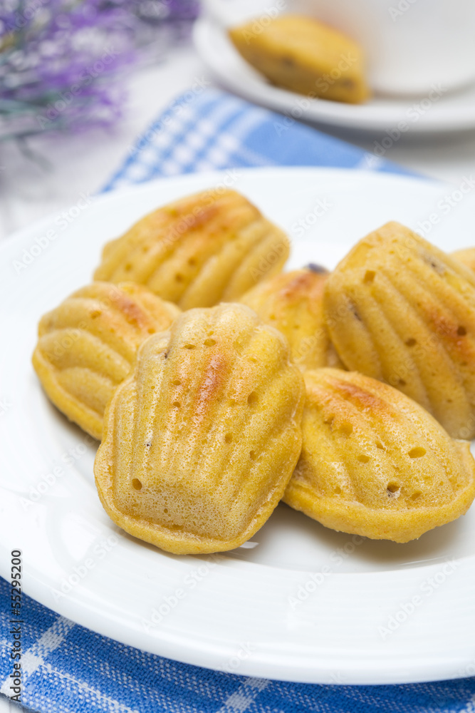 madeleine cookies with lavender on a plate, close-up madeleine cookies with lavender on a plate, close-up