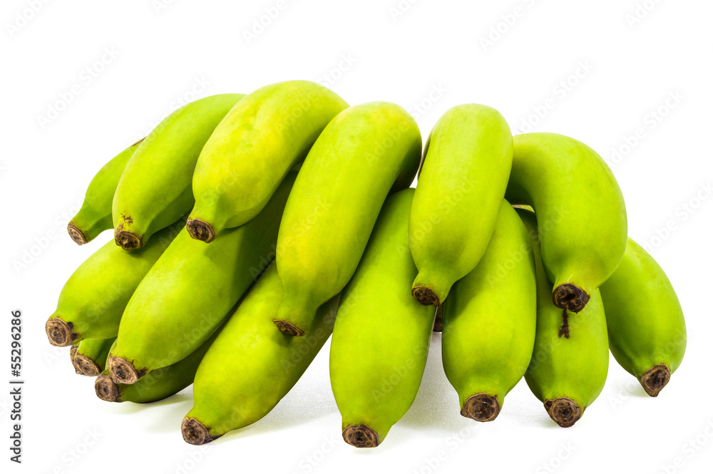Green Bananas raw bunch isolated on white background.