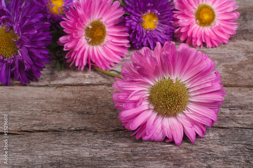 beautiful sweet asters on an old wooden table