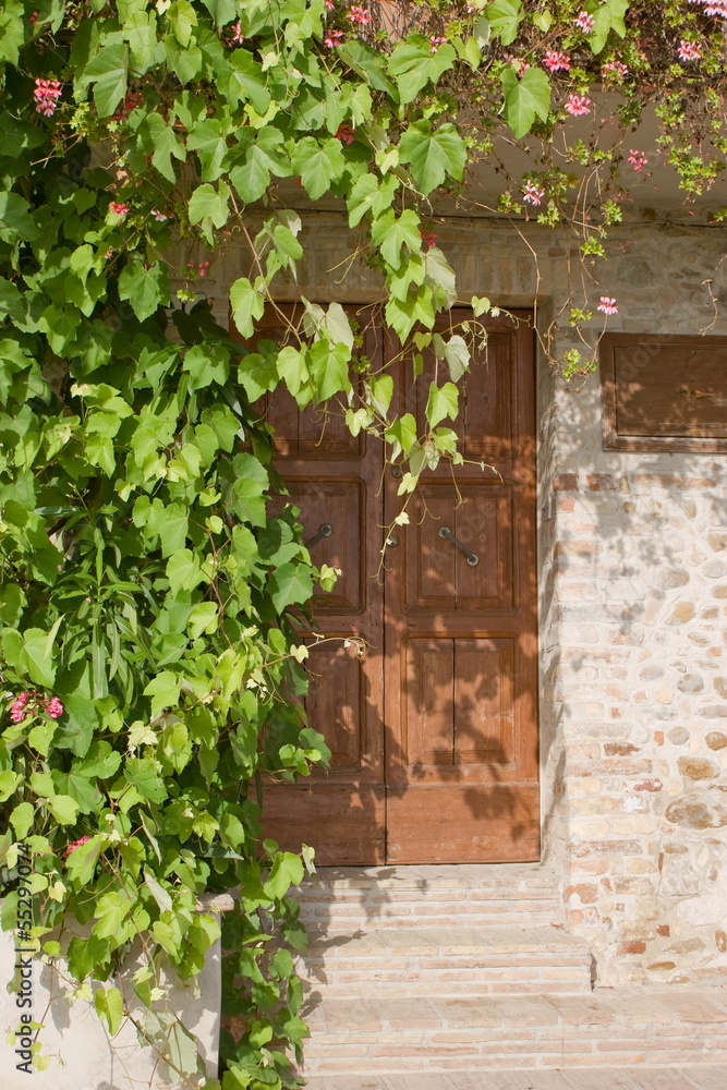Door of a traditional house with climbing plants