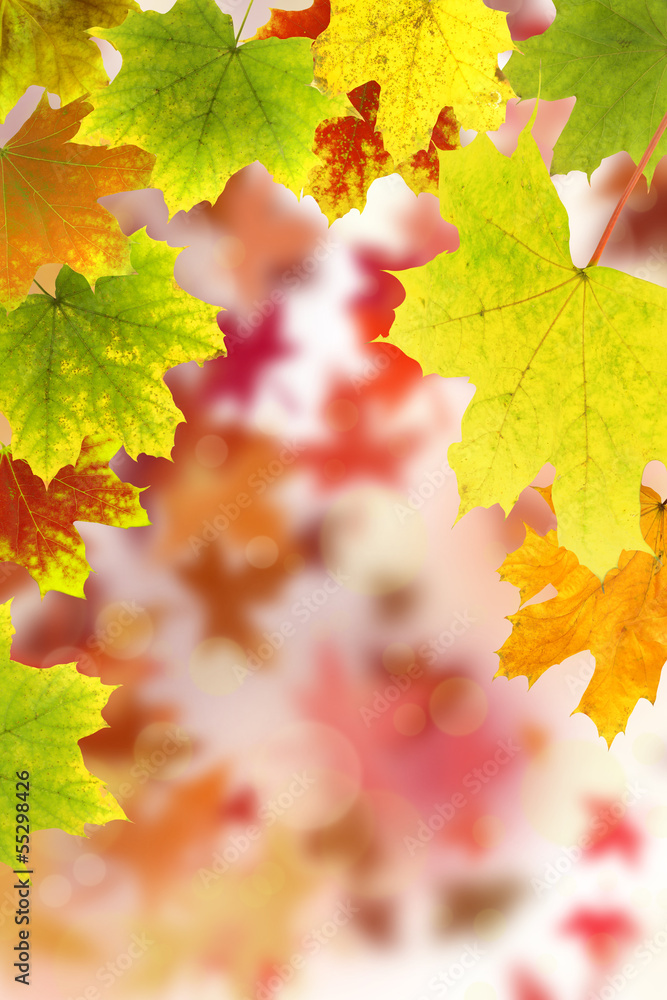 Herbst 24 Herbst 24