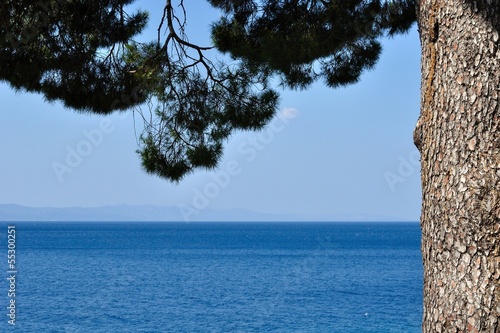 View of Adriatic sea behind tree in Podgora, Croatia