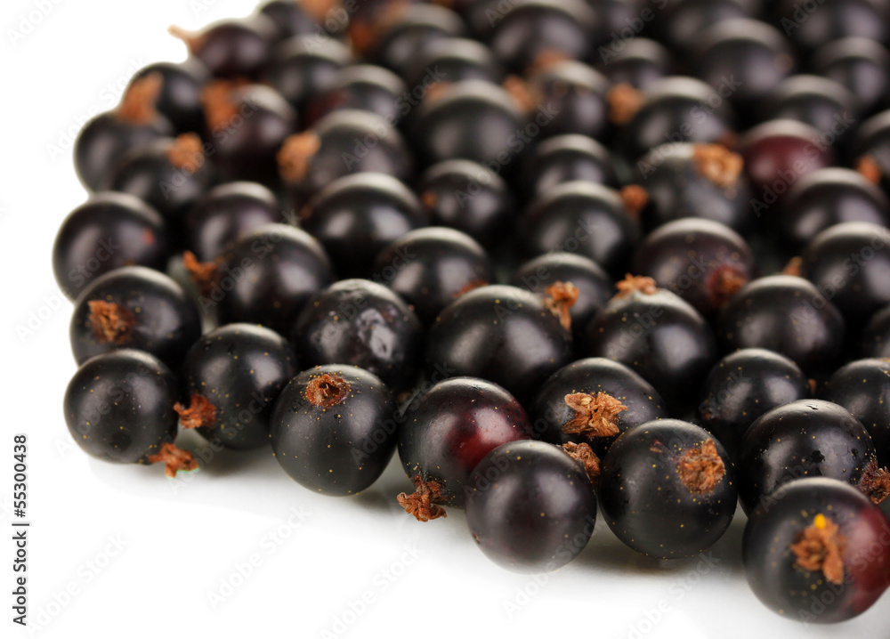Fresh black currant isolated on white Fresh black currant isolated on white
