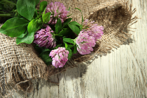 Clover flowers with leaves on wooden background © Africa Studio
