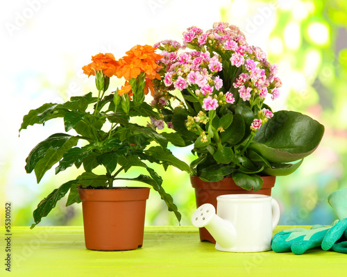 Fototapeta Naklejka Na Ścianę i Meble -  Beautiful flowers in pots on wooden table on natural background