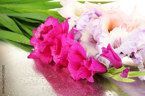 Fototapeta Naklejka Na Ścianę i Meble -  Beautiful gladiolus flower close up