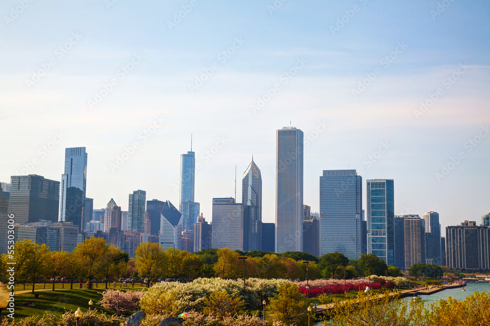 Obraz premium Downtown Chicago, IL in the morning