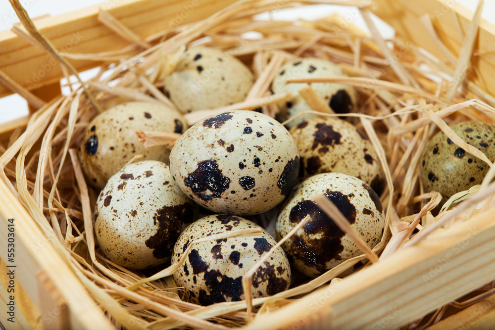 Quail eggs in wooden crate nest Quail eggs in wooden crate nest