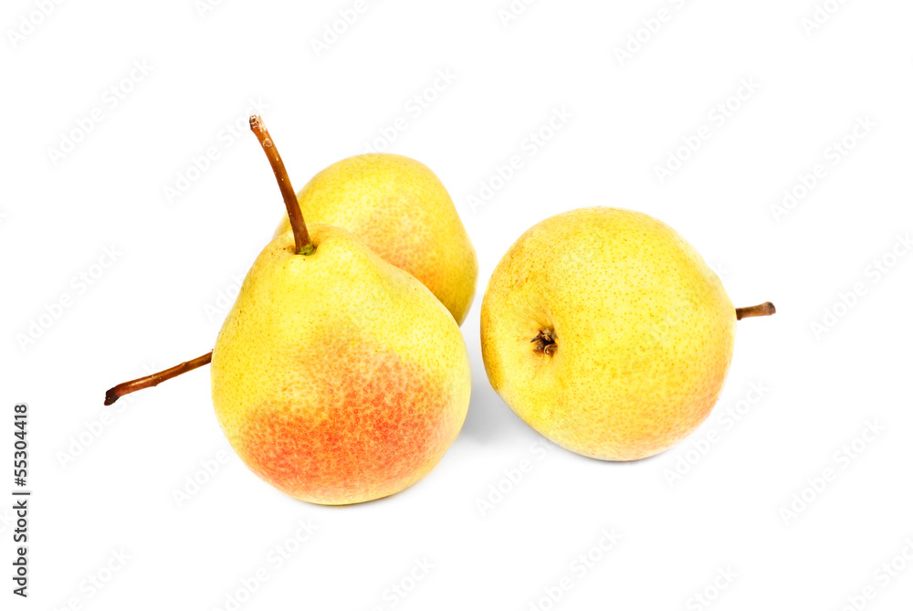 A tree of green- red and fresh pears A tree of green- red and fresh pears