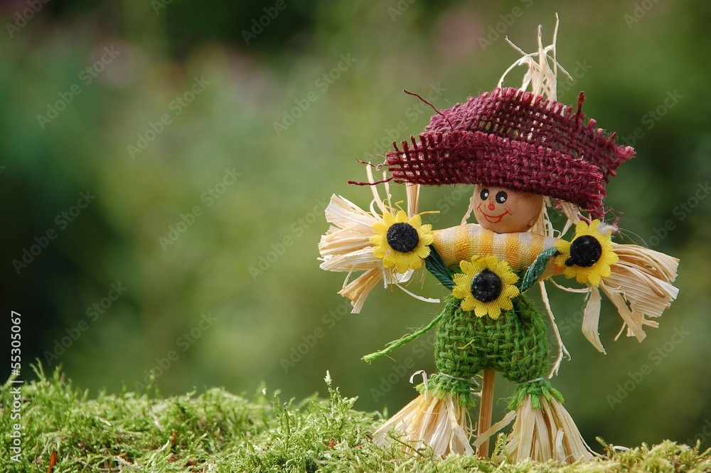 Lustige Vogelscheuche im Garten Stock Photo Adobe Stock