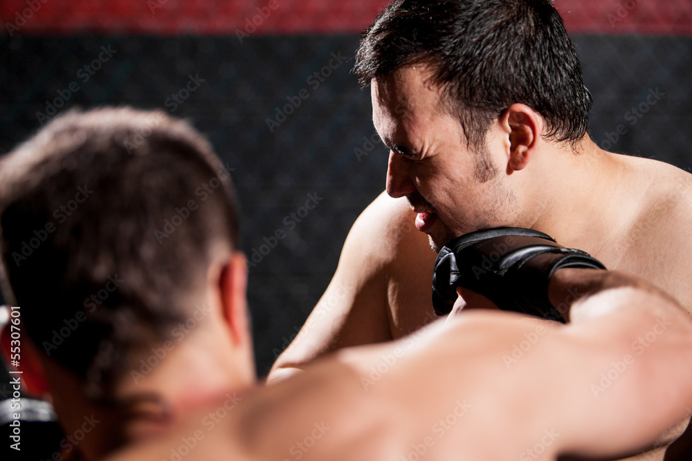 Hitting a rival during a MMA fight Hitting a rival during a MMA fight