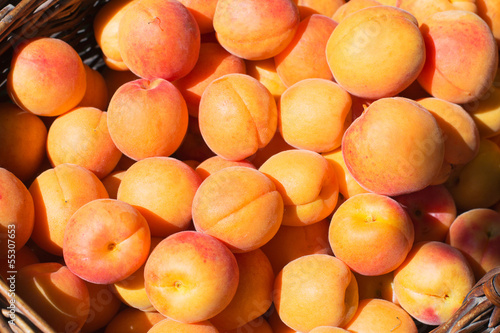 Ripe Apricot in a basket