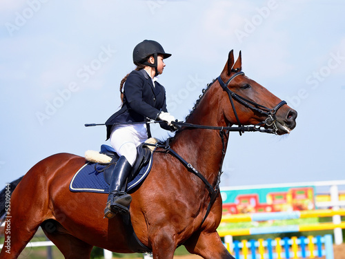 The sportswoman on a red horse at competitions. © Azaliya (Elya Vatel)