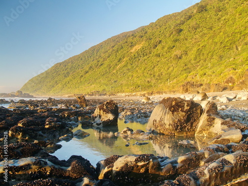 New Zealand coastal landscape