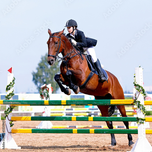 Equestrian sport competitions. © Azaliya (Elya Vatel)