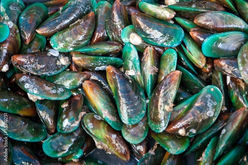 Fresh mussels