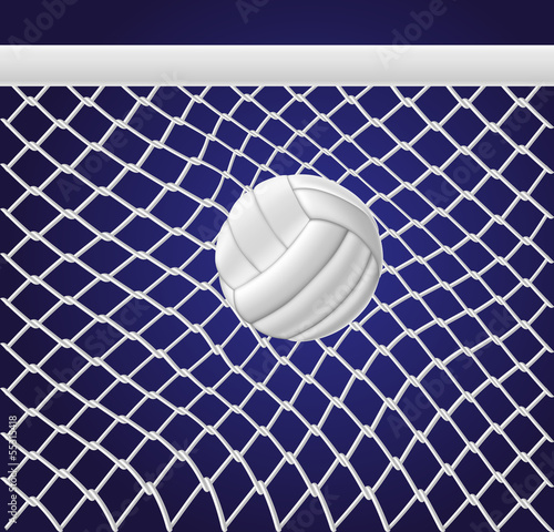 Volleyball net and ball