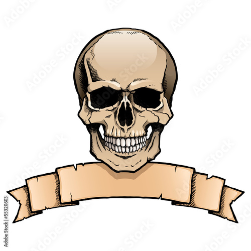 Colored complete human skull with a ribbon banner.