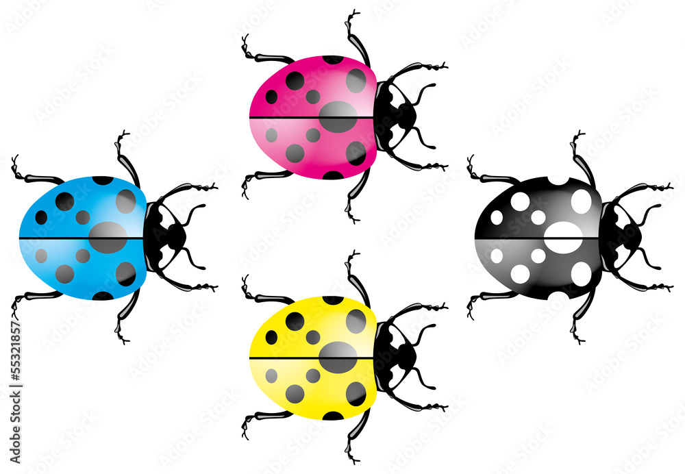 Obraz premium Marienkäfer - CMYK